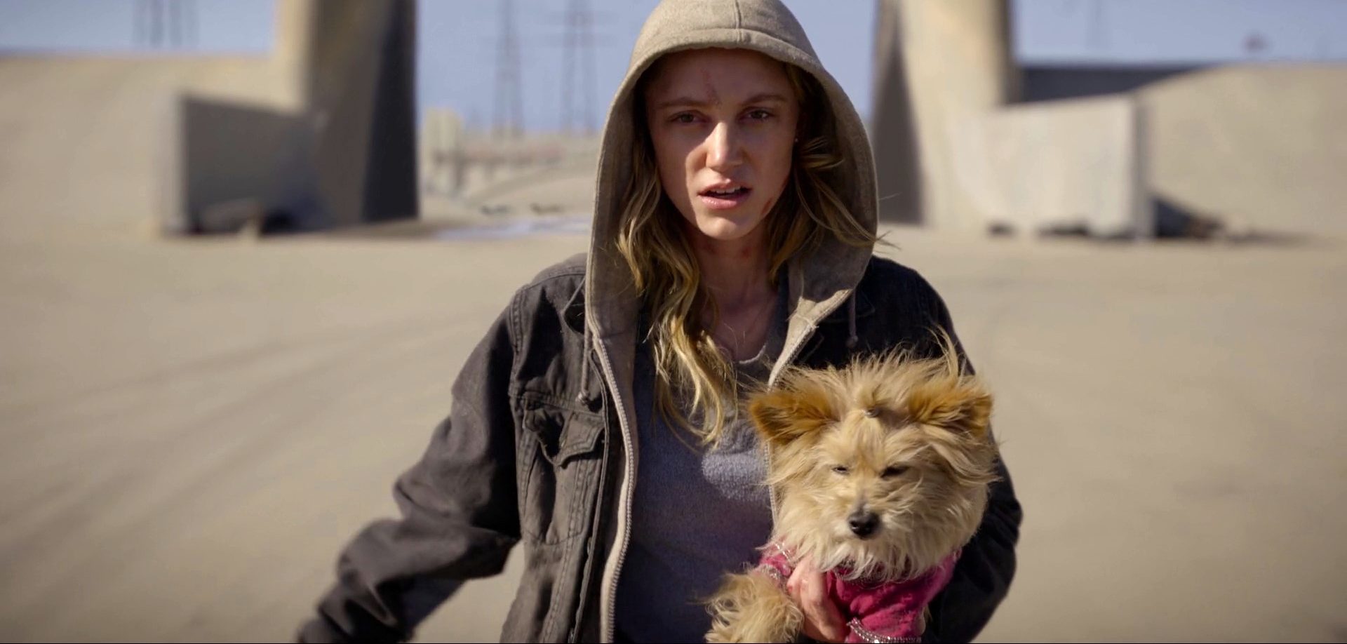 Does Pebbles the Dog Die in The Stranger?