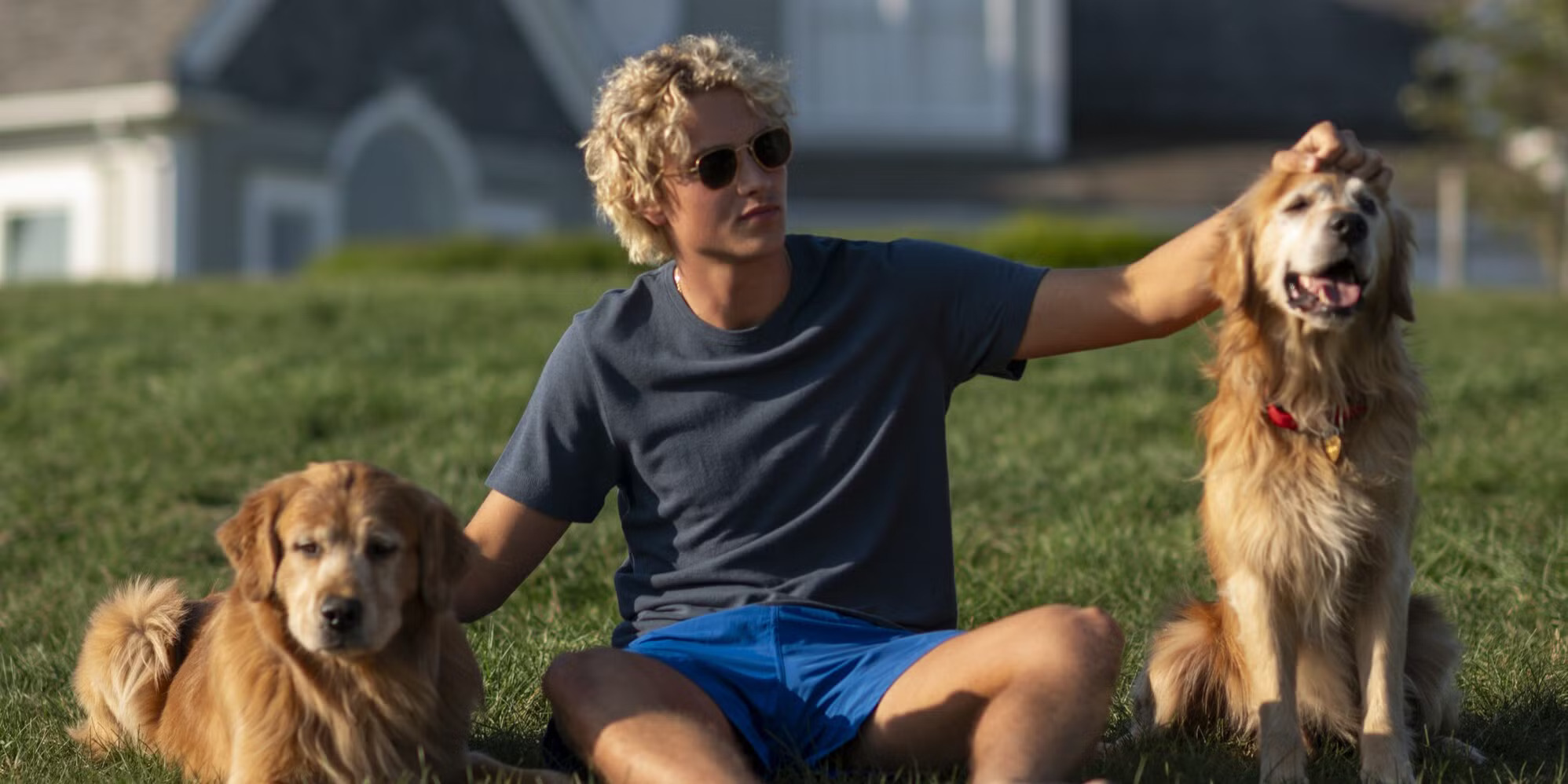 Do Franklin and Eleanor the Dogs Die in We Were Liars?