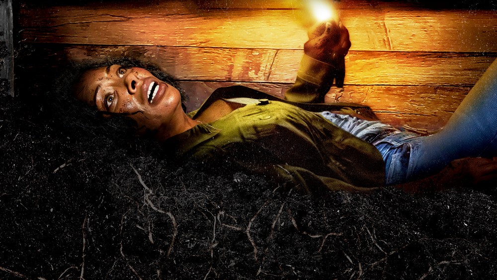 Buried Alive and Survived Based True Story, Explained: Where is Chae