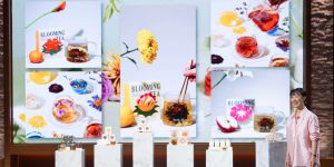 The QI Tea Shark Tank Update: Natural Wellness in a Cup