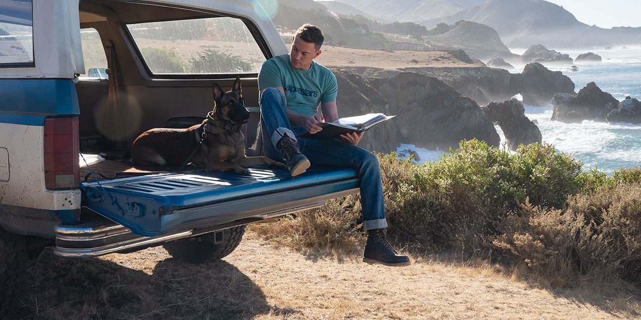 Is Nuke the Dog Related to Lulu? What Breed is He? Who Plays Him?