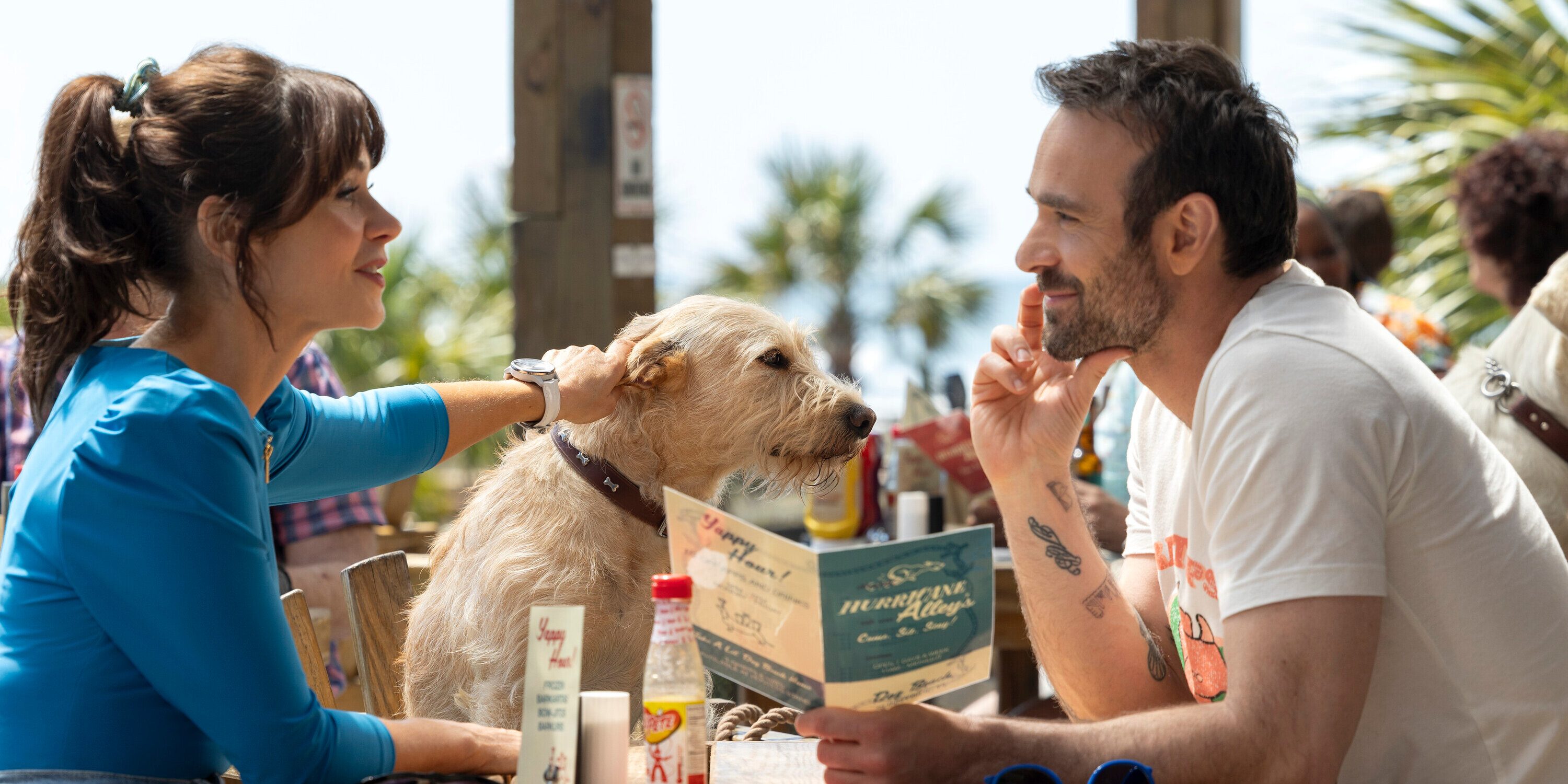 8 Movies Like Merv You Must See