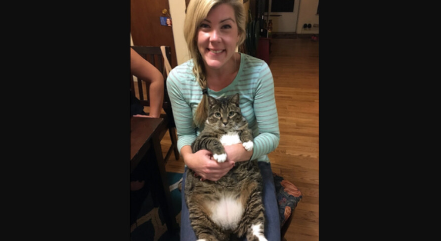 Kristine Melton and Diane Ruiz: How Did They Die? Who Killed Them?