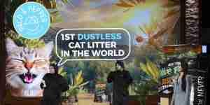 Paco & Pepper Shark Tank Update: Dust-Free Litter For Cats