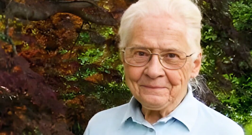 Jean Stevens: What Happened to the Old Woman?