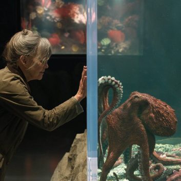 12 Movies Like Remarkably Bright Creatures You Must See