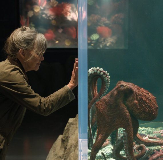 12 Movies Like Remarkably Bright Creatures You Must See