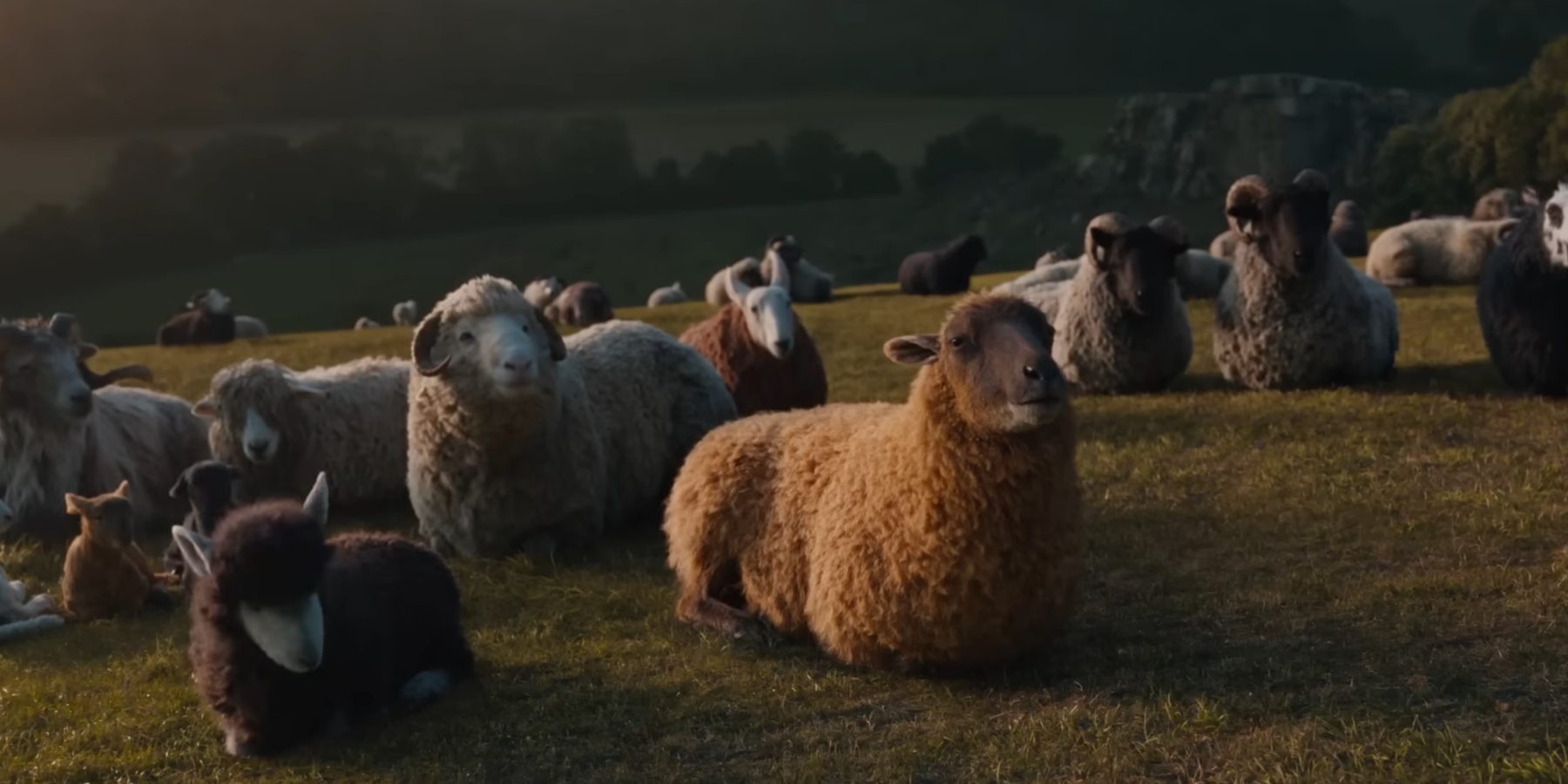8 Movies Like The Sheep Detectives You Must See
