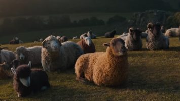 8 Movies Like The Sheep Detectives You Must See