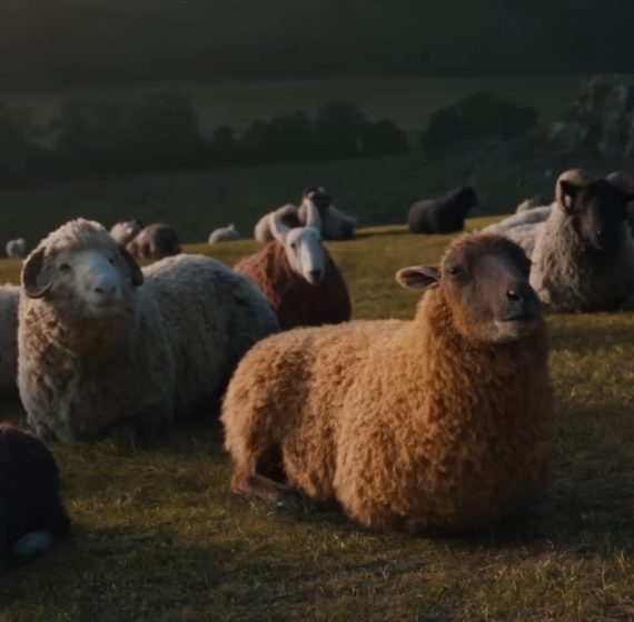 8 Movies Like The Sheep Detectives You Must See