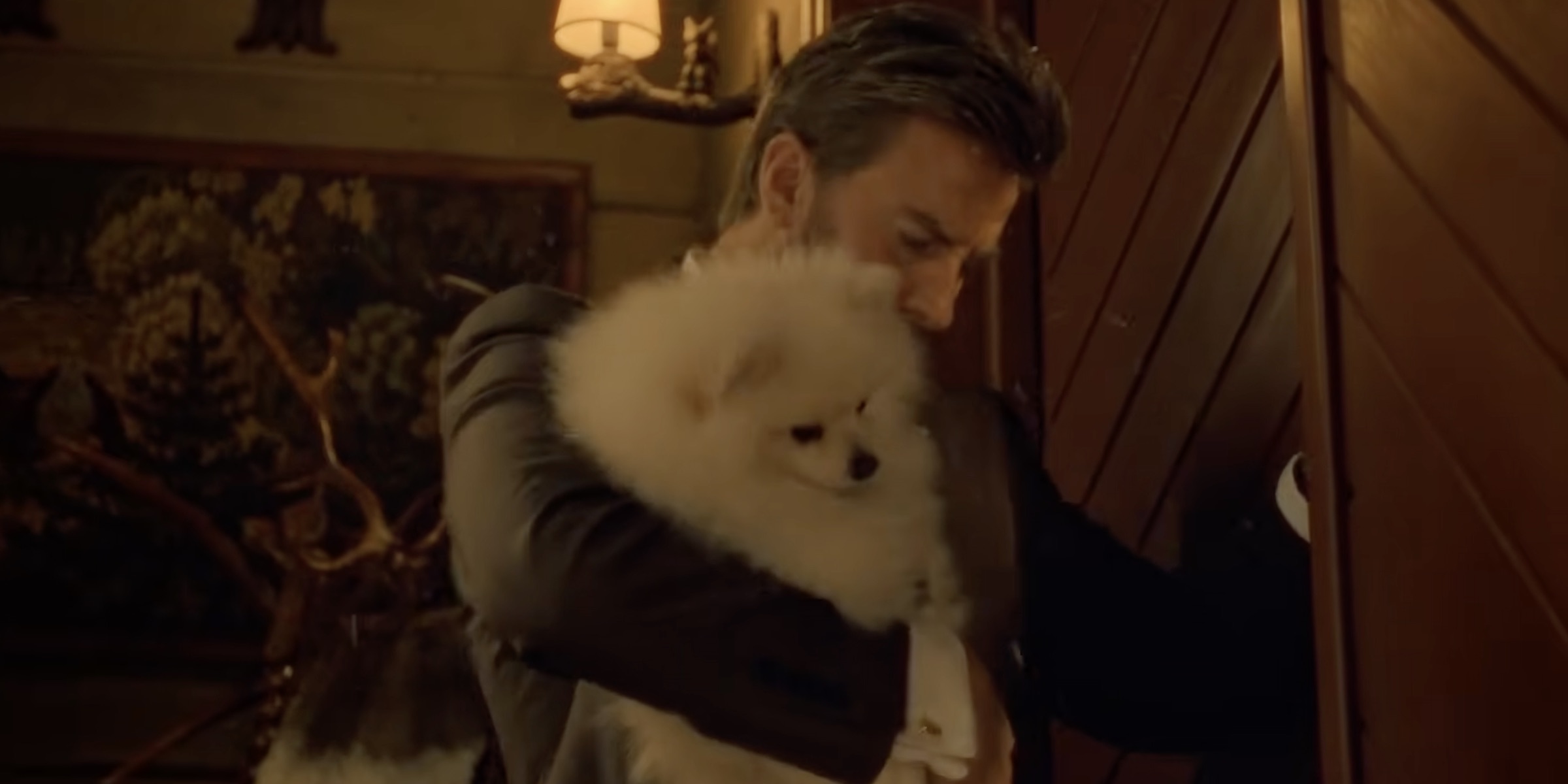 Does Mochi the Dog Die in The Storm?